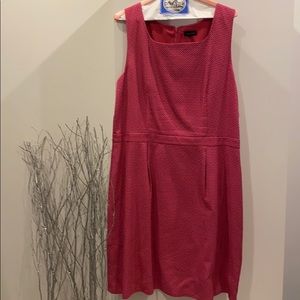 The Limited Pink polka dot Dress